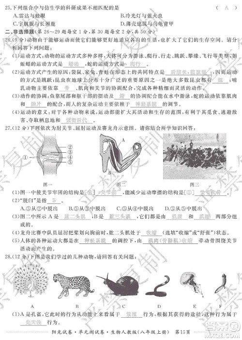 江西高校出版社2019阳光试卷单元测试卷八年级生物上册人教版答案