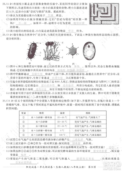 江西高校出版社2019阳光试卷单元测试卷八年级生物上册人教版答案