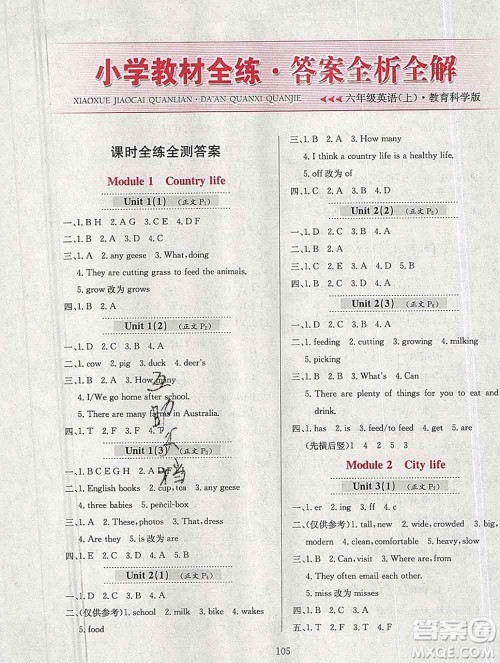 陕西人民教育出版社2019年小学教材全练六年级英语上册教科版广州专用答案