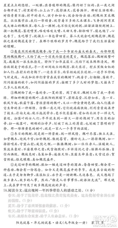 江西高校出版社2019阳光试卷单元测试卷九年级语文全一册人教版答案