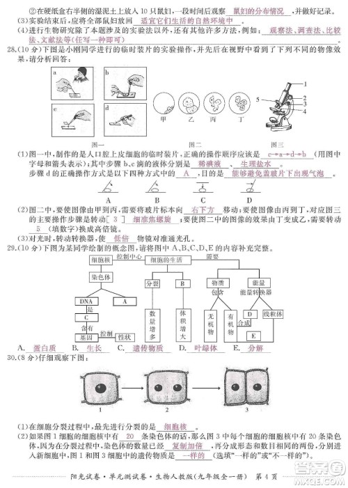 江西高校出版社2019阳光试卷单元测试卷九年级生物全一册人教版答案