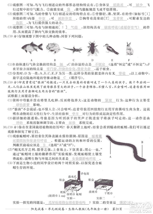 江西高校出版社2019阳光试卷单元测试卷九年级生物全一册人教版答案
