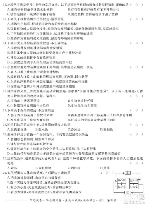 江西高校出版社2019阳光试卷单元测试卷九年级生物全一册人教版答案