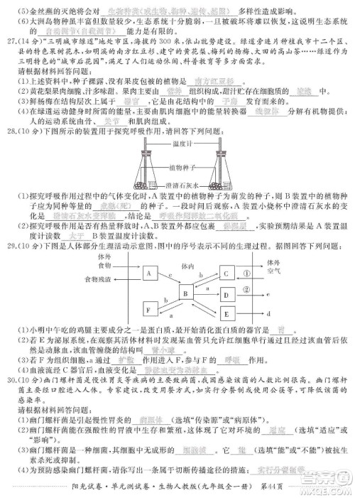 江西高校出版社2019阳光试卷单元测试卷九年级生物全一册人教版答案