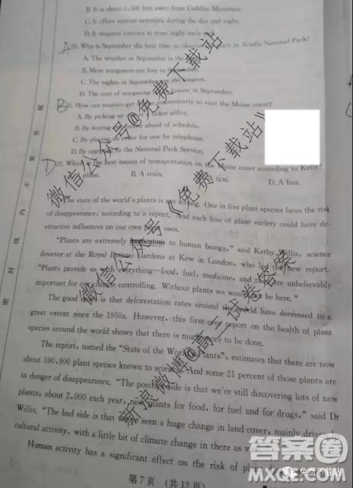 2020届全国大联考高三第四次联考英语试题及答案 2020届全国大联考高三第四次联考英语试题及答案