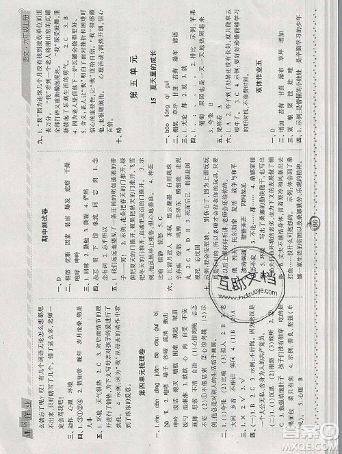 2019年秋人教版经纶学典课时作业六年级语文上册答案