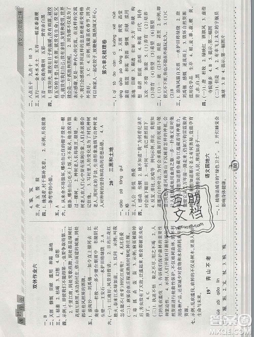 2019年秋人教版经纶学典课时作业六年级语文上册答案