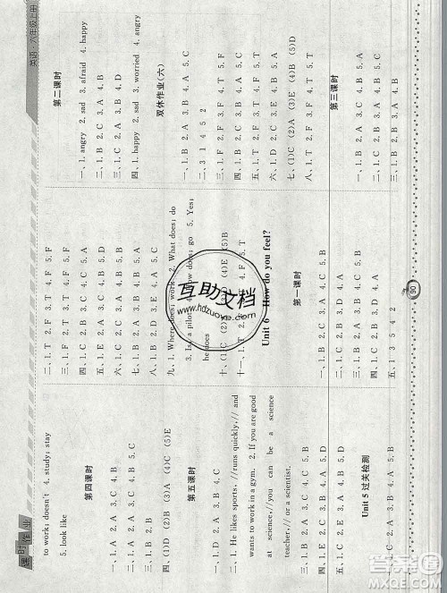 2019年秋人教版经纶学典课时作业六年级英语上册答案