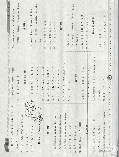 2019年秋人教版经纶学典课时作业六年级英语上册答案