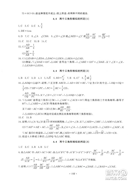 花山小状元2019学科能力达标初中生100全优卷数学九年级上册浙教版ZJ答案