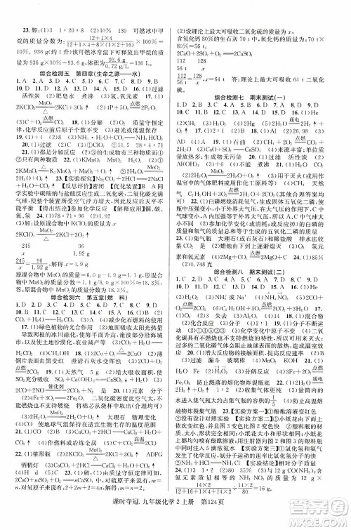 新世纪出版社2019课时夺冠九年级化学上册KG版答案