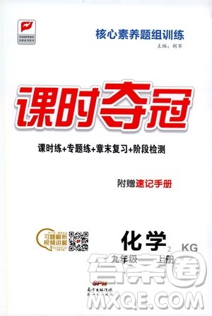 新世纪出版社2019课时夺冠九年级化学上册KG版答案