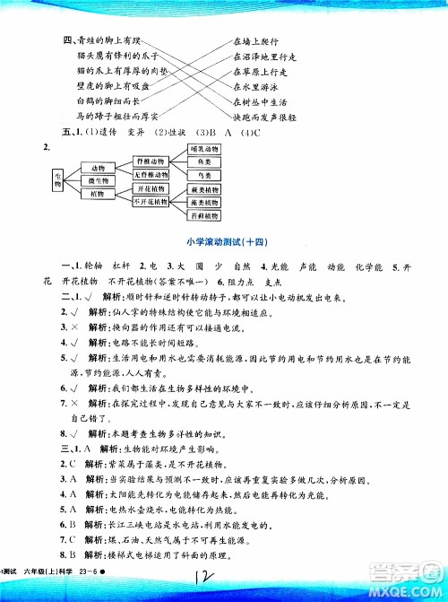 孟建平系列丛书2019年小学滚动测试科学六年级上册J教科版参考答案