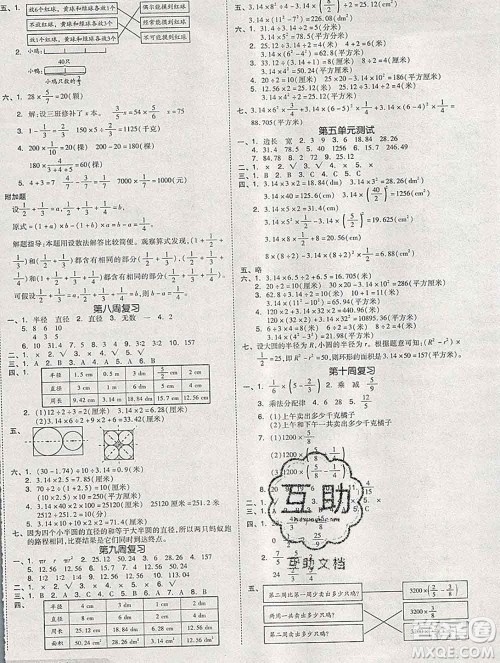 全品小复习小学数学六年级上册青岛版2019秋新版答案 全品小复习小学数学六年级上册青岛版2019秋新版答案