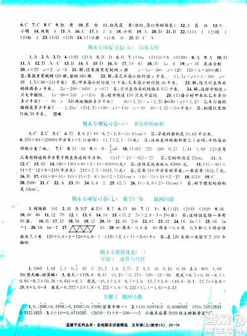 孟建平系列丛书2019年各地期末试卷精选数学五年级上R人教版参考答案