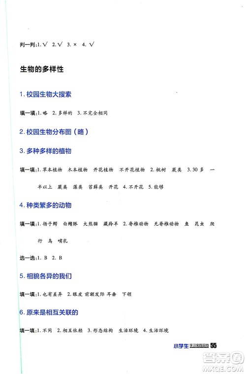 四川民族出版社2019新课标小学生学习实践园地六年级科学上册人教版答案 四川民族出版社2019新课标小学生学习实践园地六年级科学上册人教版答案