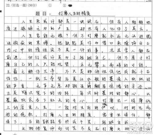 打磨人生的精度议论文作文800字 关于打磨人生的精度的议论文800字