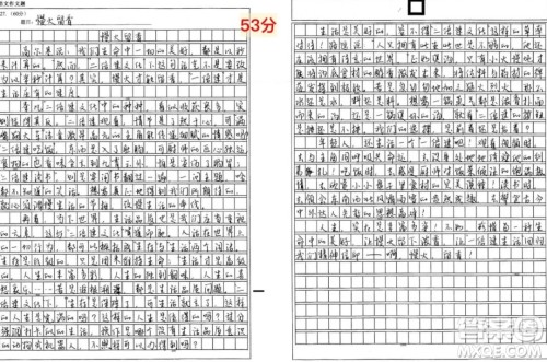 二倍速作文800字 关于二倍速的作文800字 二倍速作文800字 关于二倍速的作文800字