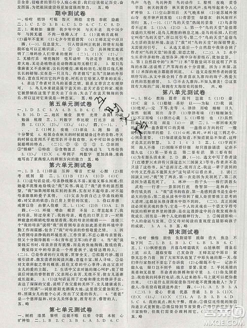 河海大学出版社2019新版经纶学典棒棒堂五年级语文上册人教版答案