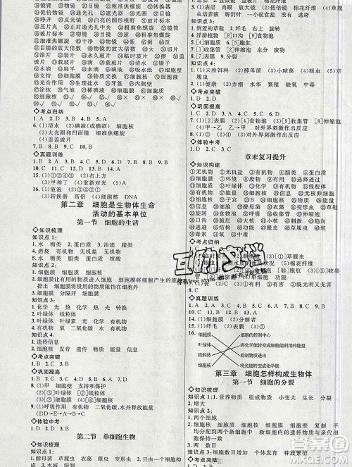 内蒙古少年儿童出版社2019秋五四制鲁科版细解巧练六年级生物上册答案 内蒙古少年儿童出版社2019秋五四制鲁科版细解巧练六年级生物上册答案