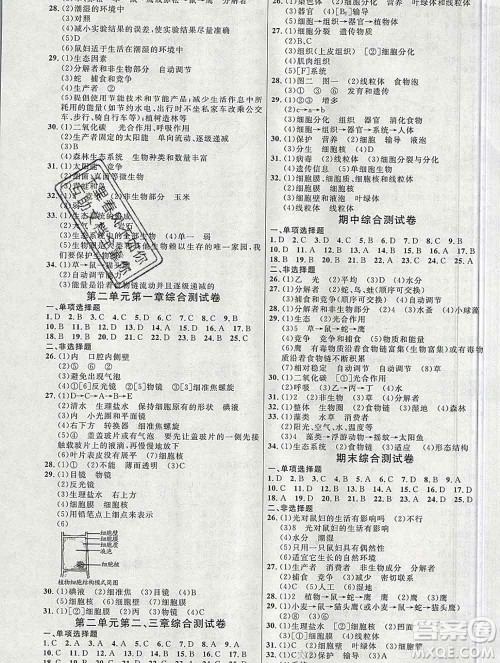 内蒙古少年儿童出版社2019秋五四制鲁科版细解巧练六年级生物上册答案 内蒙古少年儿童出版社2019秋五四制鲁科版细解巧练六年级生物上册答案