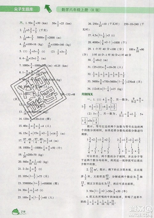 2019年尖子生题库数学六年级上册R版人教版参考答案