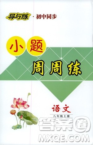 导与练初中同步2019小题周周练八年级语文上册答案 导与练初中同步2019小题周周练八年级语文上册答案