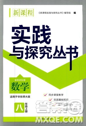 2019年新课程实践与探究丛书数学八年级上册华东师大版参考答案
