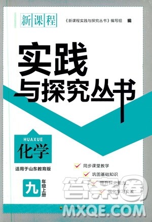 2019年新课程实践与探究丛书化学九年级上册山东教育版参考答案 2019年新课程实践与探究丛书化学九年级上册山东教育版参考答案