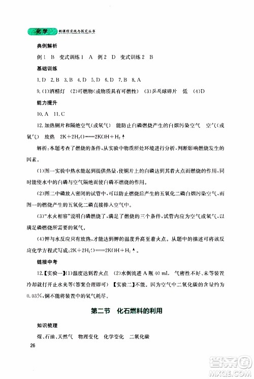 2019年新课程实践与探究丛书化学九年级上册山东教育版参考答案