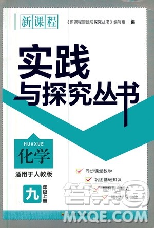 2019年新课程实践与探究丛书化学九年级上册人教版参考答案