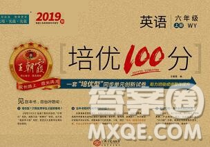 2019秋外研版王朝霞培优100分六年级英语上册答案