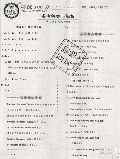 2019秋外研版王朝霞培优100分六年级英语上册答案