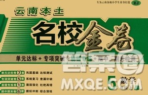 天津人民出版社2019云南本土名校金卷五年级数学上册人教版答案