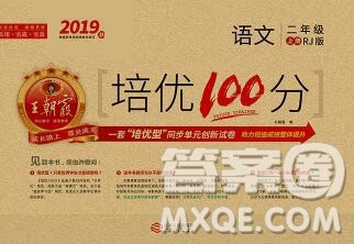 2019秋人教版王朝霞培优100分二年级语文上册答案