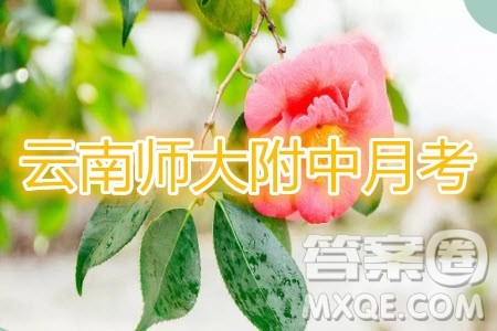 2020届云师大附中高考适应性月考四语文试题及参考答案 2020届云师大附中高考适应性月考四语文试题及参考答案