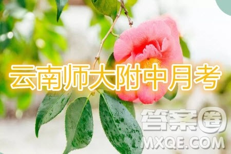 2020届云师大附中高考适应性月考四理科综合试题及参考答案