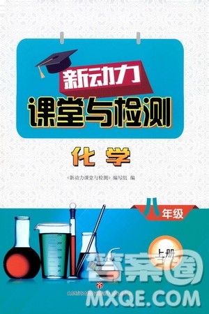 济南出版社2019年新动力课堂与检测化学八年级上册参考答案