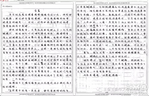 含蓄记叙文作文800字 以含蓄为题记叙文800字