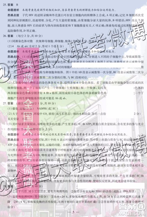 2020届天一大联考高三二联全国版Q版生物答案 2020届天一大联考高三二联全国版Q版生物答案