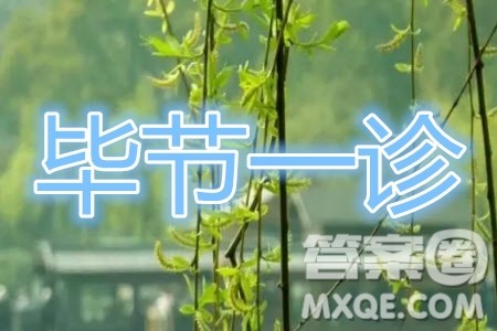 毕节市2020届高三年级诊断性考试一文科综合试题及答案