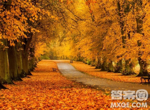 战胜自己话题作文600字 关于战胜自己的作文600字 战胜自己话题作文600字 关于战胜自己的作文600字