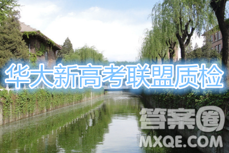 华大新高考联盟2020届高三11月教学质量测评理科综合试题及答案