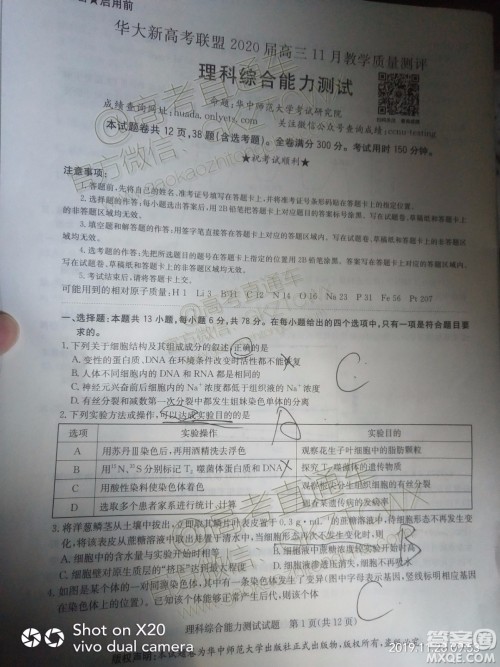 华大新高考联盟2020届高三11月教学质量测评理科综合试题及答案