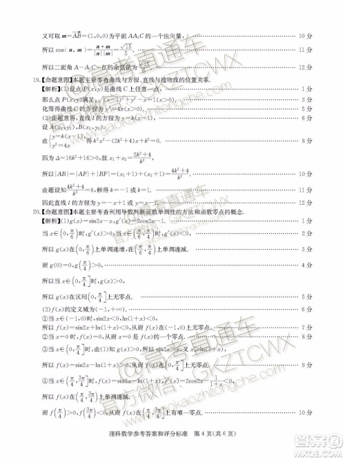 华大新高考联盟2020届高三11月教学质量测评理科数学试题及答案