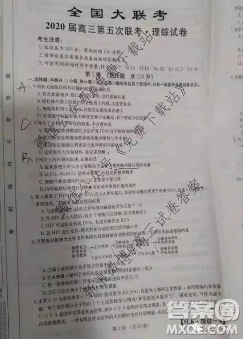 全国大联考2020届高三第五次联考理综试题及答案 全国大联考2020届高三第五次联考理综试题及答案