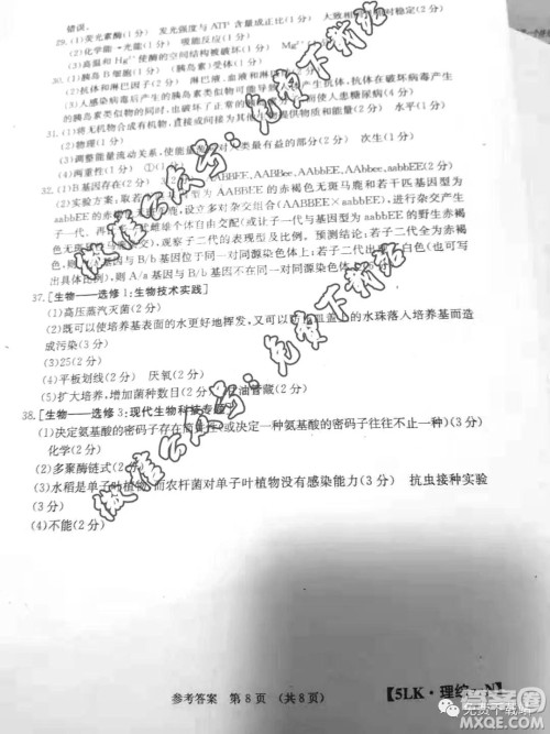 全国大联考2020届高三第五次联考理综试题及答案 全国大联考2020届高三第五次联考理综试题及答案