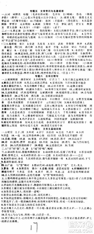 2019年黄冈金牌之路练闯考语文九年级上册人教版参考答案