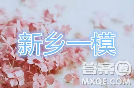 2020届新乡市高三一模理科数学试题及参考答案
