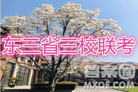 东三省三校2019—2020上第一次内考卷文科数学试卷及答案